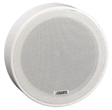 ГромкоговорительDSP-5311